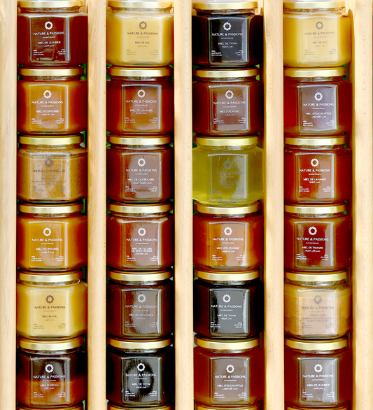 Le Miel – Vertus thérapeutiques