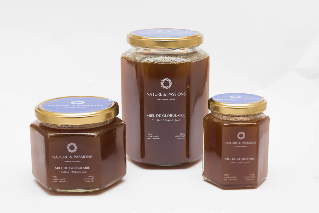 Miel de globulaire